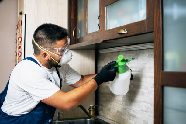 Best Local Pest Control Services  in Katonah, NY