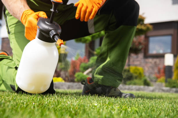 Best Rat Extermination Near Me  in Katonah, NY