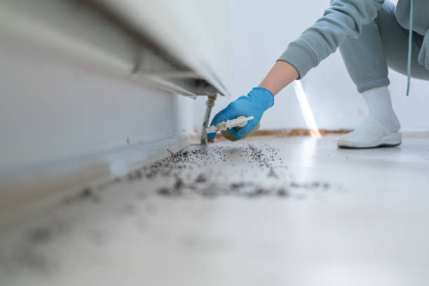 Reliable Katonah, NY Pest Control Solutions